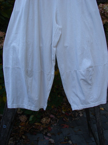 1999 4 Square Pant Unpainted Natural Size 1, loose-fitting knee-length bloomers, displayed on a ladder outdoors. Features include a gusset, simple waistband, lace-trimmed hem, capturing BlueFishFinder's vintage style.