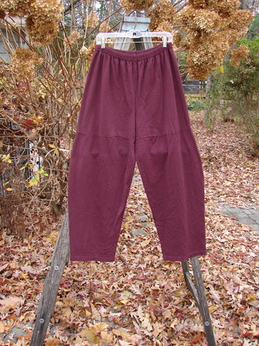 Barclay Quadrant Pant Unpainted Burgundy Size 1, draped on a wooden ladder outdoors, showcasing a loose fit with unique thigh seams and a full elastic waistline, made from organic cotton.
