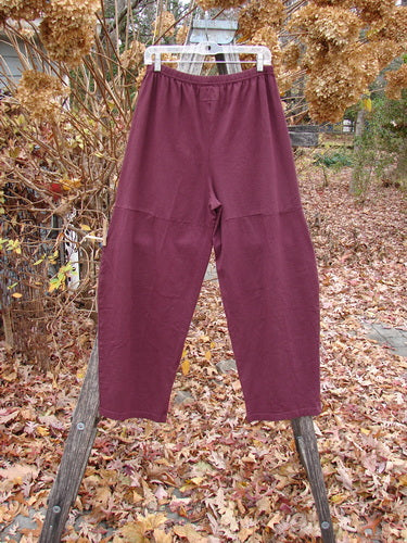 Barclay Quadrant Pant Unpainted Burgundy Size 1, crafted from organic cotton, displayed on a clear hanger over a wooden ladder. The pants feature a loose fit with unique thigh seams and a full elastic waist.