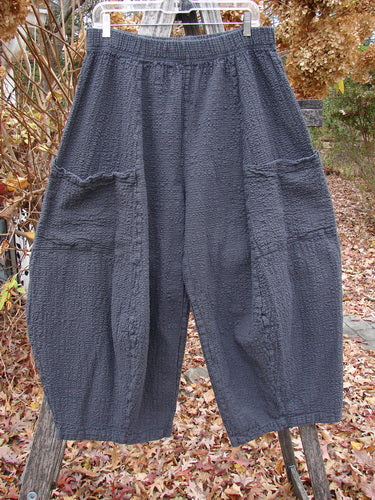 Barclay Pucker Crop Mojo Pant Unpainted Ironworks Size 1, crinkled texture with elastic waistband and large front pockets, drapes into a 3D diamond shape from the knee, displayed outdoors.
