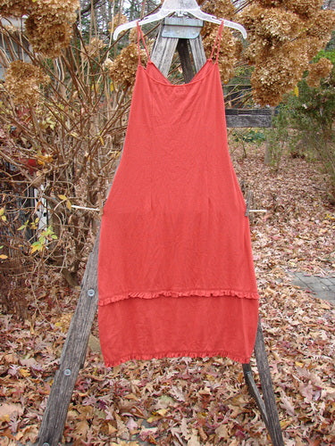 2000 Wool Pointelle Lulu Slip Dress Sienna Smaller Size 0, featuring a criss-cross bodice, thin straps, and sectional layers, displayed hanging on a wooden ladder in a serene fall garden.