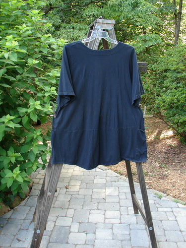 Image alt text: Barclay Be There Top, a blue shirt on a clothes rack, from the Spring Collection. Made from organic cotton with a squared double-paneled deeper neckline, empire waist seam, wide full pleats, and a forever skirt flair. Size 1, unpainted black.