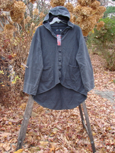Barclay NWT Favorite Pocket Hoodie Primitive Pony Block Shadow Size 0: Dark-gray hooded jacket with oversized buttons, curved hem, and front pockets, hanging on a ladder amid autumn leaves.