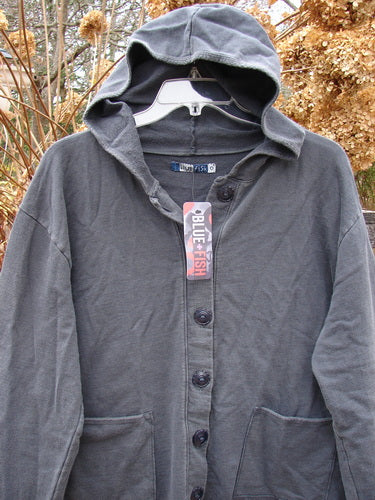 Barclay NWT Favorite Pocket Hoodie Primitive Pony Block Shadow Size 0, featuring a charcoal-gray, button-front design with two front pockets and an attached BLUE FISH tag, hangs outdoors on a plastic hanger.
