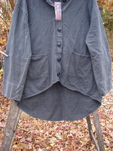 Barclay NWT Favorite Pocket Hoodie Primitive Pony Block Shadow Size 0 hung on a ladder, features a high-low hem, oversized buttons, front patch pockets, and a cozy hoodie, ideal for autumn layering.