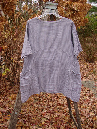 Barclay Gauze Two Pocket Urchin Dress Unpainted Light Plum Stripe Size 1, featuring a small checkered pattern, round neckline, short sleeves, and inset hip pockets, hangs on a ladder amidst autumn leaves.
