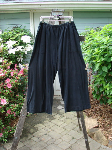 Alt text: Barclay Basic Pocket Flare Pant Unpainted Black Size 2 hanging on a clothesline, showcasing its full elastic waistline and deep upper wrap side pockets.