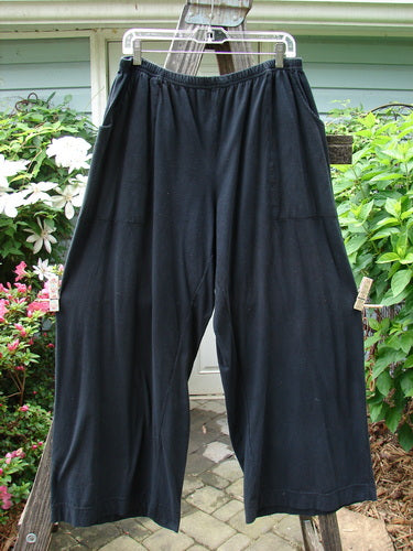 A pair of Barclay Basic Pocket Flare Pant Unpainted Black Size 2 hanging on a clothesline, showcasing its full elastic waistline and deep upper wrap side pockets.