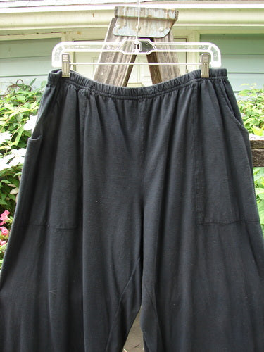 Barclay Basic Pocket Flare Pant Unpainted Black Size 2 hanging on a clothesline, showcasing its full elastic waistline, generous hip measurements, wide lowers, and deeper upper wrap side pockets.