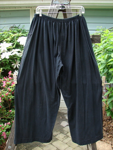 A pair of Barclay Basic Pocket Flare Pants in Unpainted Black Size 2 hanging on a clothesline, showcasing their full elastic waist, generous hip measurements, and wide lowers.
