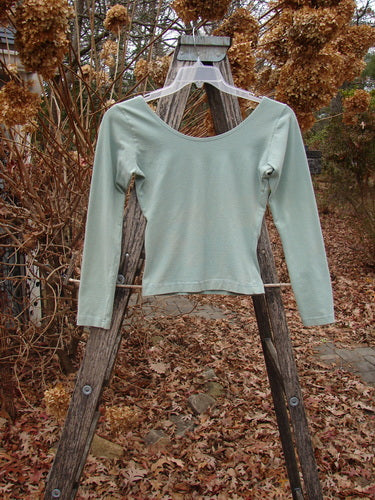 1994 Cotton Lycra Ballerina Layering Top Unpainted Menthe Smaller Size 1 on a hanger, showcasing its scoop neckline, long sleeves, and fitted silhouette, set against an outdoor rustic background.