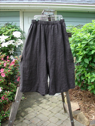 A pair of Barclay Linen Crop Wide Leg Pocket Pant Unpainted Black Size 2 hanging on a clothes rack, showcasing its wide legs and oversized upper pockets.