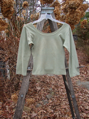 1994 Cotton Lycra Ballerina Layering Top Unpainted Seagrass Smaller Size 2 displayed on a hanger over a step-ladder, showcasing its scooped neckline and fitted silhouette against a garden backdrop.
