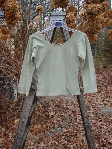 The 1994 Cotton Lycra Ballerina Layering Top Unpainted Seagrass Smaller Size 2 is displayed on a stepladder, showcasing its light-green color, long sleeves, ballerina neckline, and fitted waist in a garden setting.