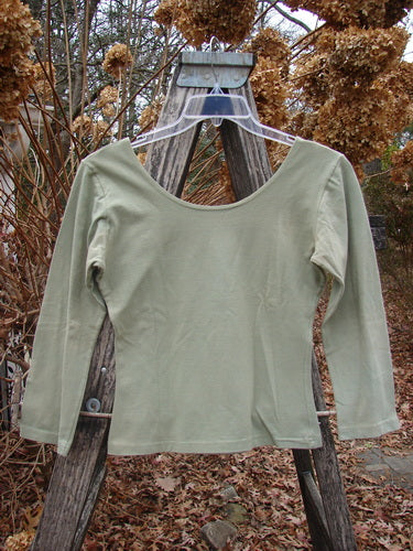 1994 Cotton Lycra Ballerina Layering Top Unpainted Seagrass Smaller Size 2, displayed on a clear hanger over a rustic ladder, features a scoop-neck, long sleeves, and a fitted silhouette, perfect for layering.