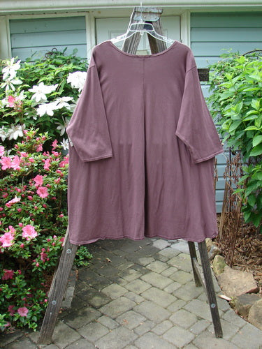 Barclay Hi Low Pocket Tunic Top Unpainted Earthen Plum Size 2 displayed on a wooden rack, showcasing its soft neckline, varying hemline, A-line shape, and double lower front pockets.