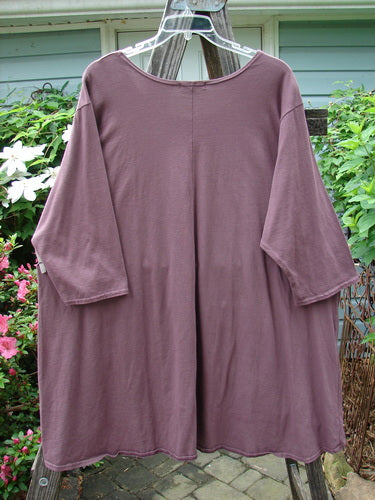 Alt text: Barclay Hi Low Pocket Tunic Top Unpainted Earthen Plum Size 2 displayed on a clothes rack, showcasing a rounded neckline, varying hemline, three-quarter length sleeves, and double lower front pockets.