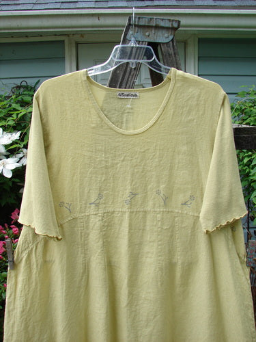 Alt text: Barclay Linen Cotton Sleeve Banded Hem Pleat Dress Falling Sprig Plantain Size 2 on a hanger, showcasing its unique pleats, oval neckline, and three-quarter sleeves.