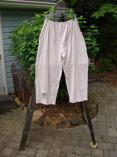 1996 Seed Planting Pant Abstract Garden Birch Bark Size 1 hanging on a clothesline, showcasing three front pockets, blue buttons, drawstring waist, and relaxed drape, emphasizing organic cotton and vintage design.