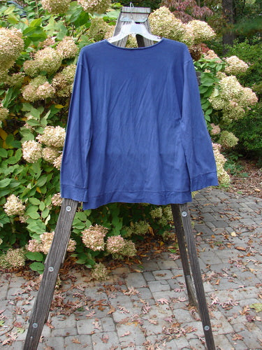 Barclay Cotton Lycra Banded Top on clothes rack, flutter sleeves, A-line flair, royal purple, size 2.