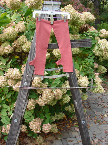 Image alt text: Barclay Cotton Lycra Hemp Fingerless Unpainted Brick pants on a wooden ladder, outdoor trousers in a garden setting.