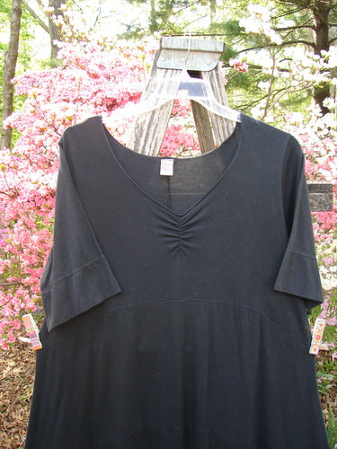 Barclay Gather Sectional Banded Petal Dress Unpainted Black Size 1, featuring a v-neck, short banded sleeves, and an A-line shape with a varied hemline, displayed on a hanger outdoors.