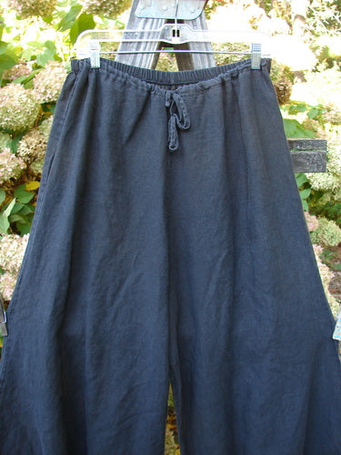 Barclay Linen Crop Drawstring Dimension Pant hanging on a clothesline.