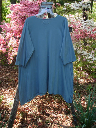 Barclay NWT Color Wheel Tunic Bird Gal Delaware Size 2 displayed on a wooden ladder, highlighting its slate-blue, loose fit with a rounded neckline, three-quarter lettuce-edged sleeves, and Bird Gal theme.
