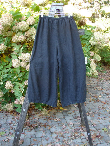 Barclay Linen Crop Drawstring Dimension Pant, size 1, on rack. Billowing lowers, crop length, unpainted, pocketless.
