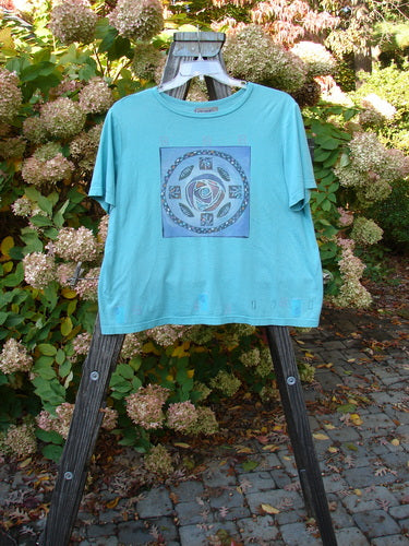 Barclay Crop Top with Oversized Sleeves and Rose Medallion Design on Aqua Background