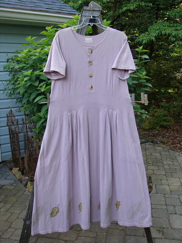 2000 LuLu's Dress Leaf Hyacinth Size 1 hanging on a clothesline, showcasing a wide swingy lower section, drop inseam pockets, four-button top closure, and specialized pleated front darts.