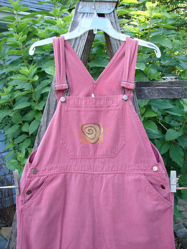 1996 Denim Overall Jumper Rock Journey Ember Size 1 features a painted front bib pocket, adjustable shoulder straps, metal button side adjustments, and signature Blue Fish patch. Displayed on a swing outdoors.