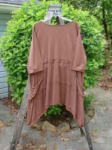 Barclay Raw Seam Vector Tunic Dress Single Tree Redwood Size 2 draped on a wooden ladder, featuring ¾-length sleeves, raw edges, front patch pockets, and a varying hemline, set outdoors.