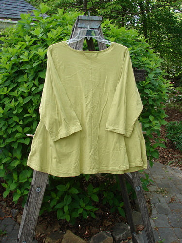 Barclay Three Quarter Sleeved A Lined Tee Field Friend Citron Size 0, draped over a rustic ladder, features a rolled neckline and curly edges, perfect for a creative, individualistic look.