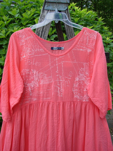 Barclay Linen Two Pocket Dolly Dress Notes Coral Size 0 displayed on a step-ladder. Features include elbow-length sleeves, gathered empire waist, hand-drawn script on bodice, flouncy skirt, and dual pockets.
