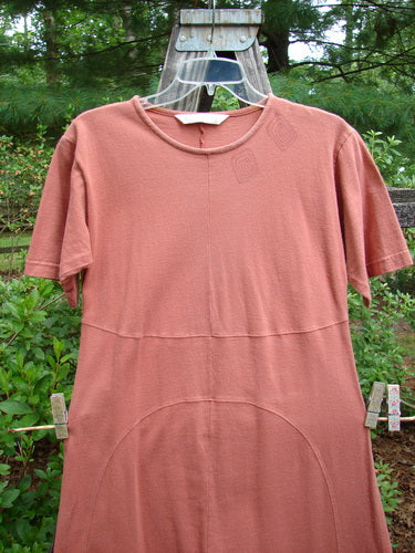 1998 Croquette Dress Games Rover Altered Size 1 displayed outdoors, showcasing its shallow rolled neckline, vertical panels, empire waist seam, and sweeping A-line shape on a clothesline. Organic cotton material.