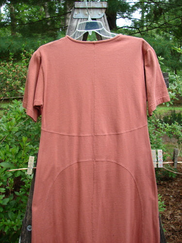 1998 Croquette Dress Games Rover Altered Size 1 hanging on a clothesline, showcasing its shallow rolled neckline, vertical rounded panels, and unique inserts for an elegant, sweeping A-line shape.