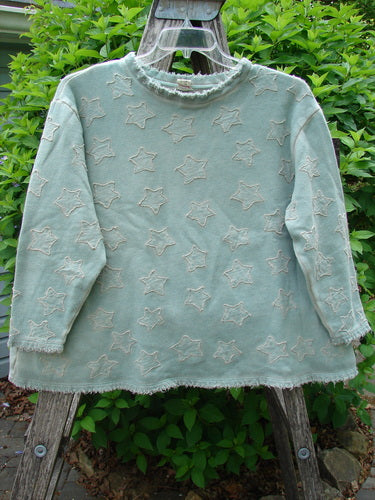 Magnolia Pearl Fleece Applique Little Star Hermosa Sweatshirt in Garden Sage, featuring wide three-quarter sleeves, tattered edges, and appliquéd stars, hangs outdoors on a wooden ladder.