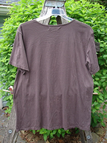 Barclay Short Sleeved Fiona Straight Tee Modern Vase Redwood Size 0, displayed on a clear hanger outdoors, features a rounded neckline and wide sleeves, embodying Bluefishfinder.com's vintage-inspired, artistic fashion ethos.