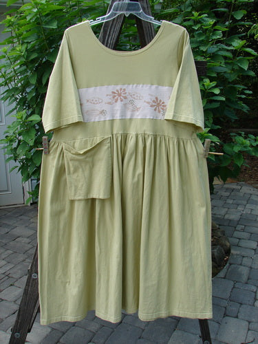 Barclay PMU Patched Flower Garden Dress Citron Size 1 displayed on a clothesline, featuring a scooped neckline, drop waist seam, front exterior pocket, and fish school patches.