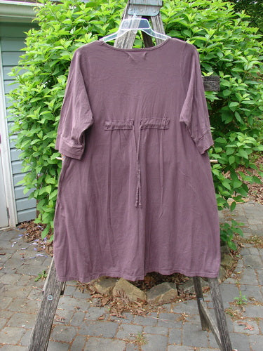 Barclay Three Quarter Sleeved Happiness Tunic Primitive Pony Fig Size 0, featuring elbow-length sleeves, drawstring waist detail, and asymmetric hem, hanging on a ladder against a garden backdrop.