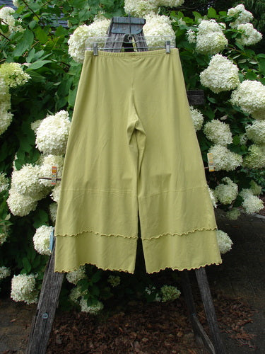 Bluefishfinder.com Barclay Cotton Lycra Crop 2 Petal Pantaloon in unpainted sunshine, size 0, shown as pale yellow-green cropped pants with a soft stretch knit texture, elastic waist, and scalloped hem. They hang centered on a wooden ladder amid dense white hydrangeas, under muted natural light.