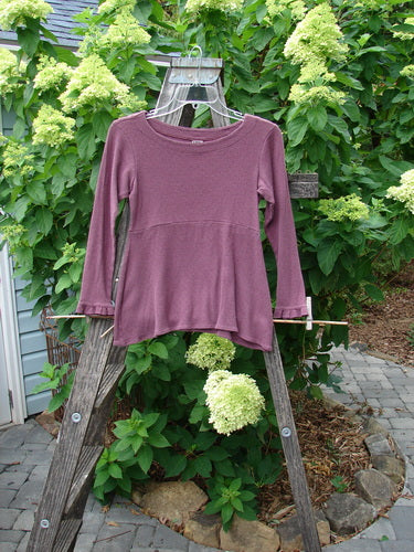 2000 Wool Pointelle Anais Top Unpainted Murple Tiny Size 0 displayed on a wooden ladder, showcasing sweet lettuce edging, empire waist seam, tailored waistline, and narrow lower sleeves.