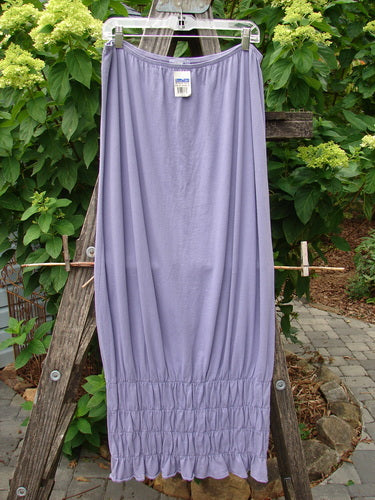 2000 NWT Rings of Saturn Skirt Unpainted Twilight Size 2 displayed draped over a wooden ladder, showcasing its elastic waistline and tapered lower smocking.