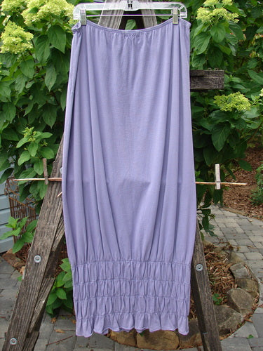 2000 NWT Rings of Saturn Skirt Unpainted Twilight Size 2 displayed on a wooden ladder, showcasing its full elastic waist, tapered lower, and detailed smocking in light weight organic cotton.