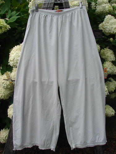Bluefishfinder.com Barclay Batiste Tiny Flutter Pocketless Pant in unpainted white, size 1, with a loose wide-leg silhouette and soft batiste texture. The lightweight pants hang from a clip hanger, shown against dense green foliage and white blossoms.