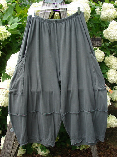 Bluefishfinder.com Barclay Crop 2 Pocket Barrel Pant in Unpainted Steel Night, Size 1, shown as loose charcoal-gray barrel pants with an elastic waist, two side pockets, and gathered cropped legs. The soft, drapey fabric hangs in rounded folds against a leafy outdoor backdrop.