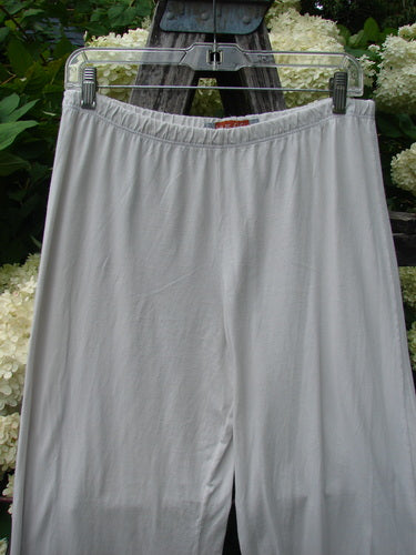 Barclay Raw Edge Wide Leg Pocketless Pant in unpainted natural, size 1, shown in a soft off-white drape with a high elastic waist and wide, straight legs. The lightweight fabric hangs in smooth vertical folds, with no pockets visible.