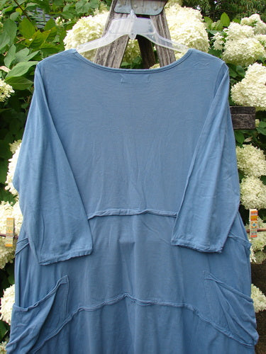 Bluefishfinder.com Barclay Raw Seam Vector Tunic Dress Daisy Folly Echo Blue, size 1, in a soft blue drape with raw seam detailing, three-quarter sleeves, and a layered, asymmetrical hem. It hangs on a clear hanger against white hydrangeas and greenery.