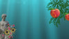 Short video clip on auto play depicting a blue Fish garment with text for Barclay Leaf Hopper Jumper with a background of Blue White and Orange, featuring a Peach, tree statue and flower images, audio jingle chimes accompaniment.